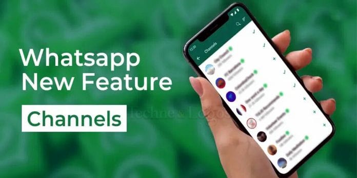 Whatsapp new update