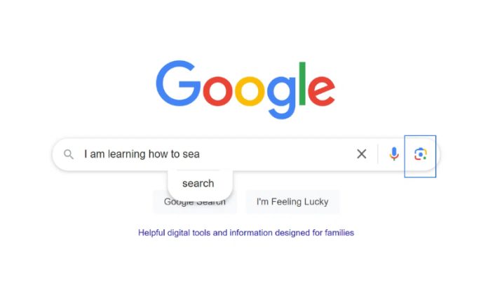 Google Search Warning