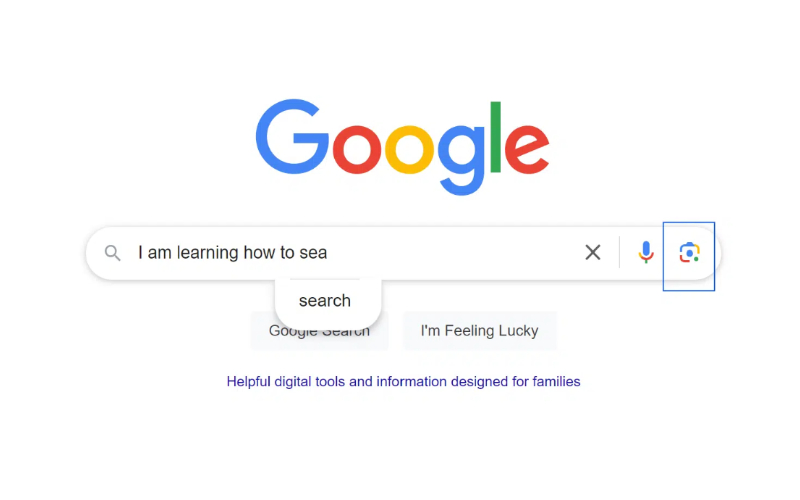 Google Search Warning